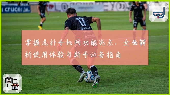 掌握虎扑手机网功能亮点，全面解析使用体验与新手必备指南